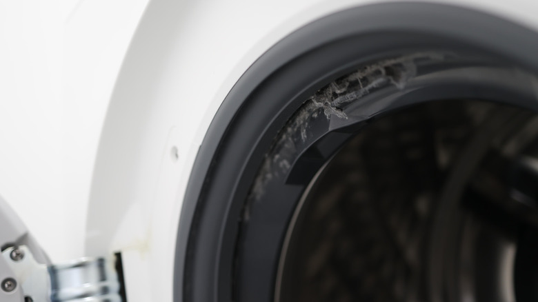 A dirty washing machine seal