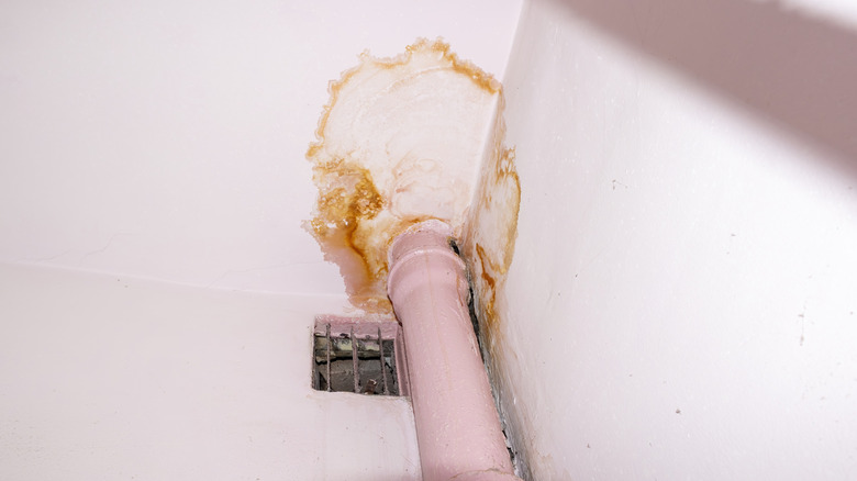 A leaky pipe causing water damage on a white ceiling and wall