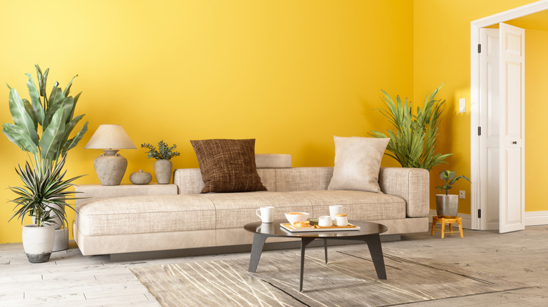 A modern living room interior with tan sofa, potted plants and yellow walls.