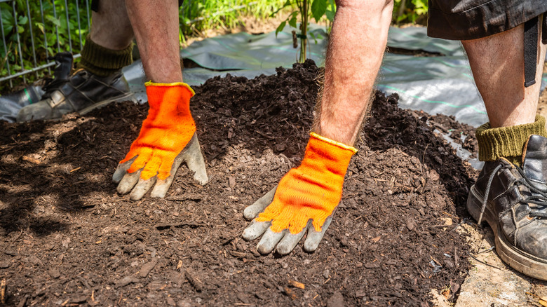 Close-up of gloved hands pushing a layer of mulch over landscape fabric