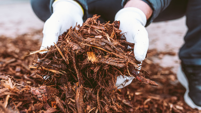 close-up of gloved hands scooping mulch up from the ground