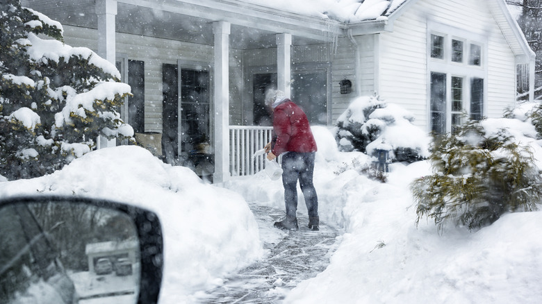 a woman using a salt deicer on a walkway in the front yard