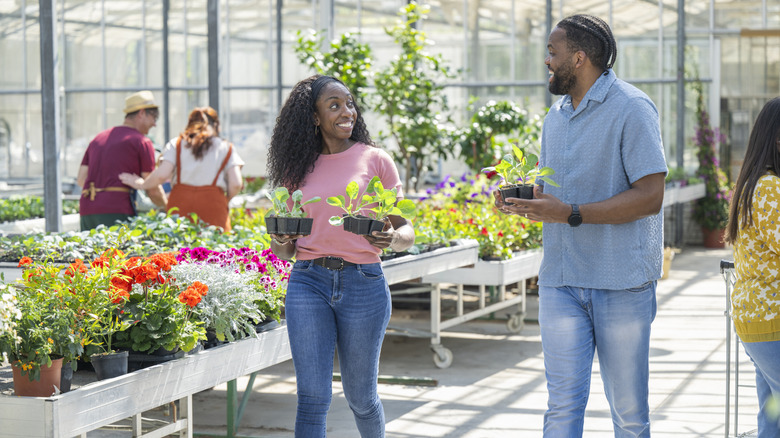 A couple buying plants at a nursery with other people milling around