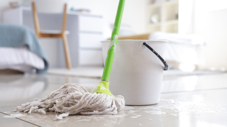 Wet mop with bucket on floor in dorm room, closeup.