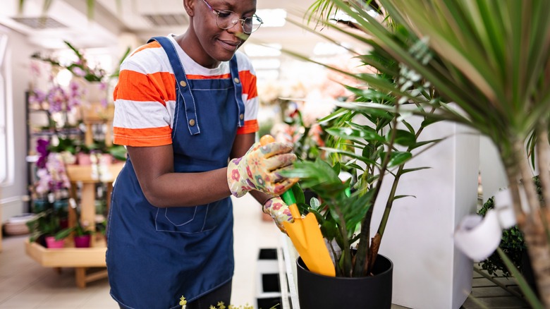 A dark-skinned woman works in a garden section of a big box store.