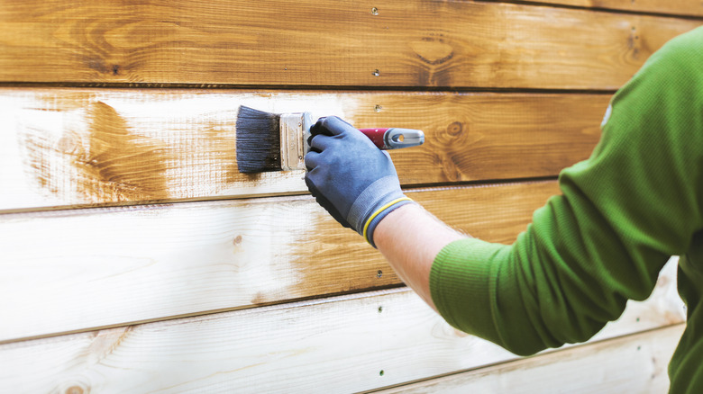 painting house brown 