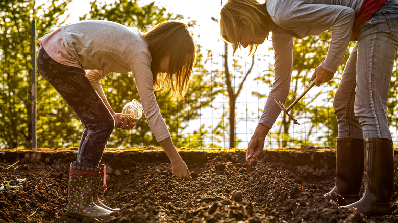 family planting garden seeds