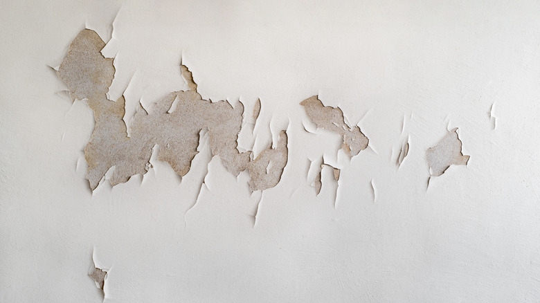 peeling paint on wall