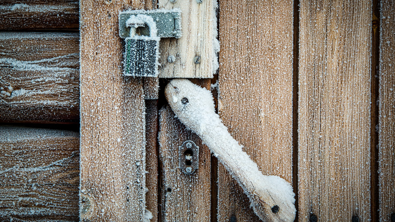 Frozen padlock on a shed door