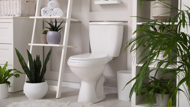 A white toilet surrounded by white furniture and greenery