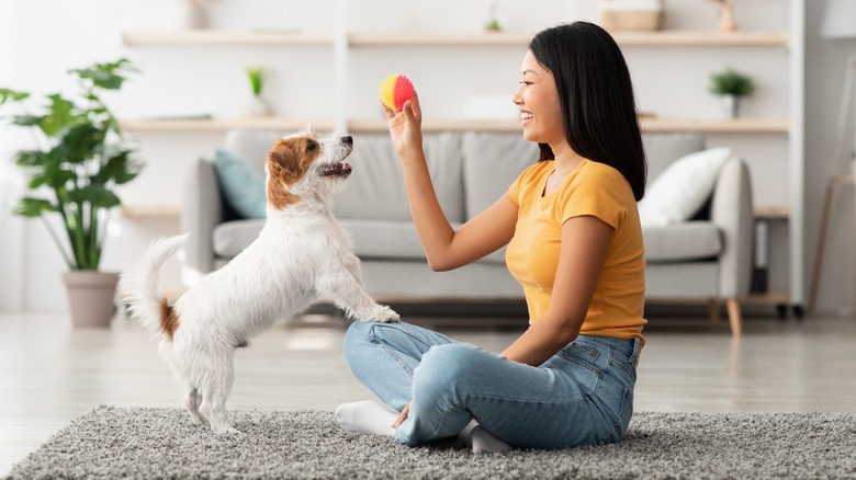 woman playing with pet dog