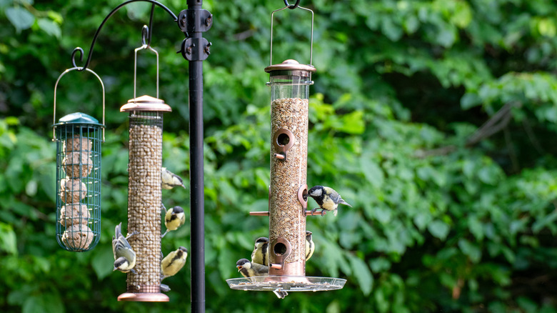 Three bird feeders hang off of the same pole and feed a group of chickadees.