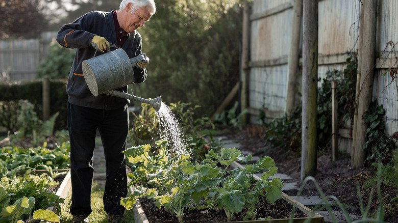 Someone watering garden