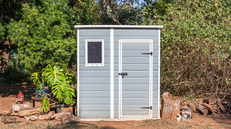 Light gray resin storage shed with window