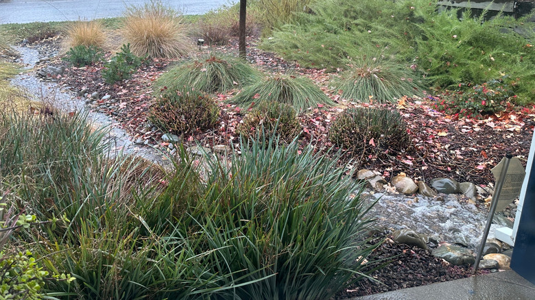 dry creek bed outside home