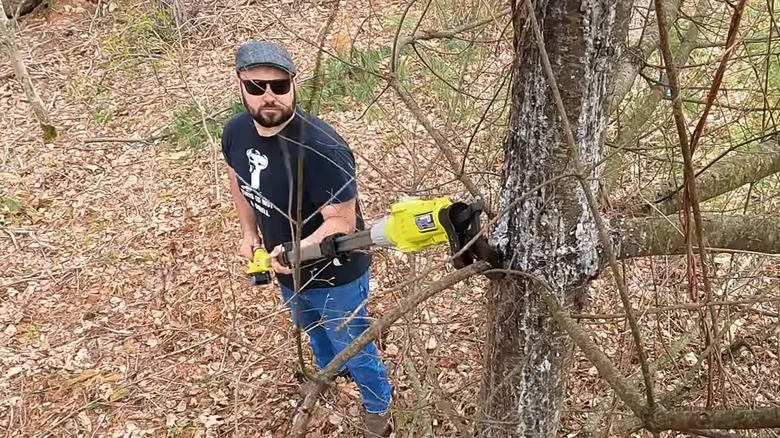 Man cutting small branches with a Ryobi pole lopper