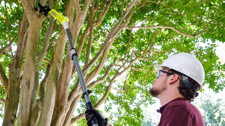 Man using a Ryobi pole lopper to cut branches