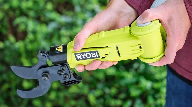 Man holding a pole lopper from Ryobi