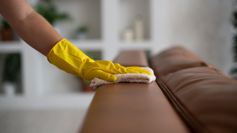 Cleaning a sofa