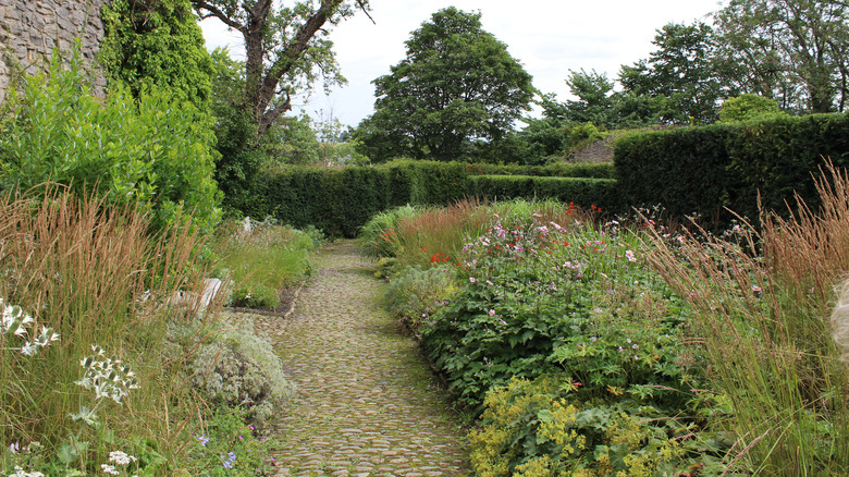 Beautiful outdoor garden with pathway