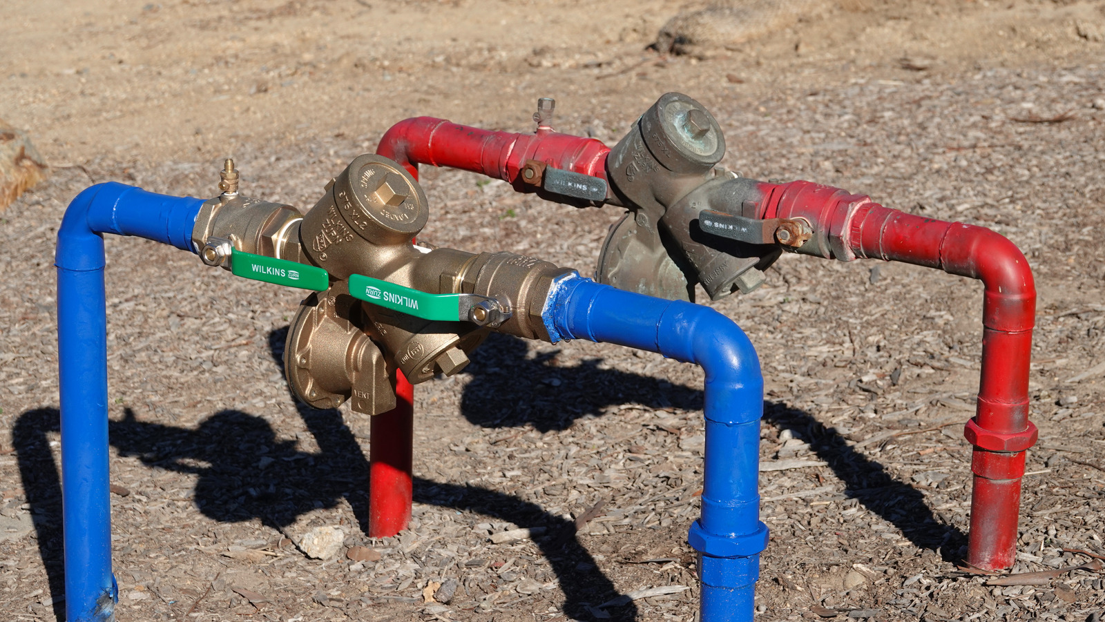 Why Sewer Backflow Preventers Are Essential And How To Test One At Home