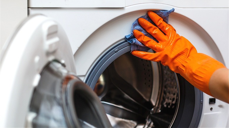 Person cleaning outside washing machine