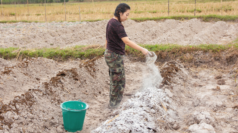 woman spreading garden lime