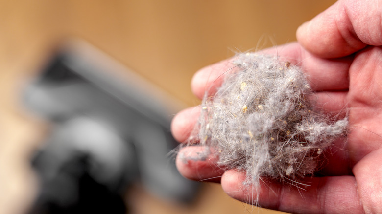 Person holding up dust
