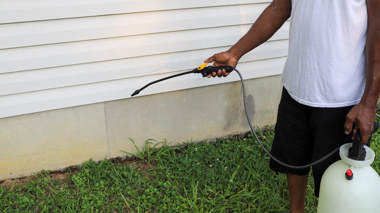 a person spraying bug spray around the exterior of their home to eradicate insects