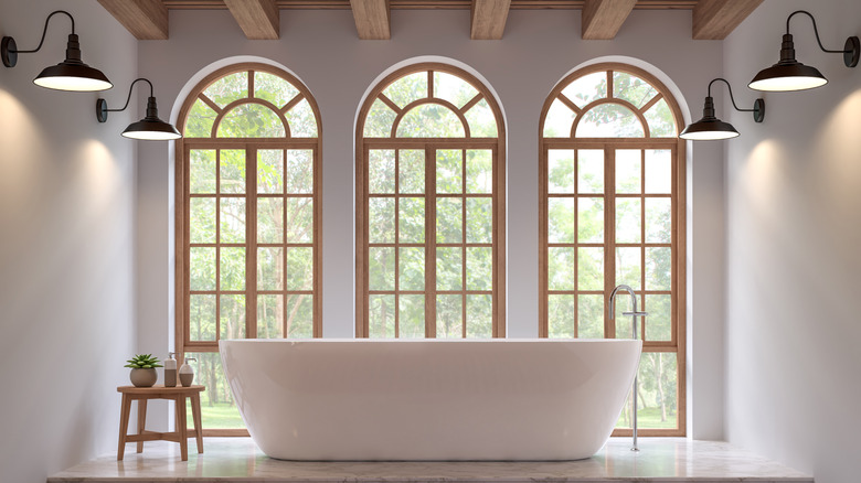 arched windows with oval bathtub