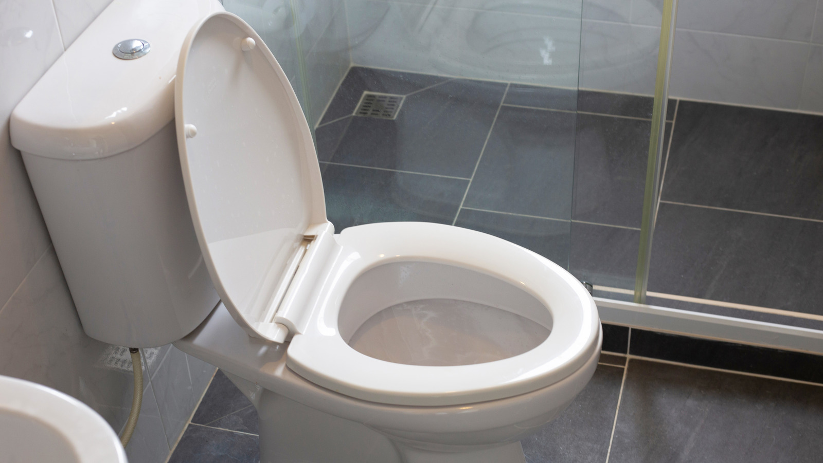 Why The Water In Your Toilet Is Yellow (And What To Do About It) House Digest TrendRadars