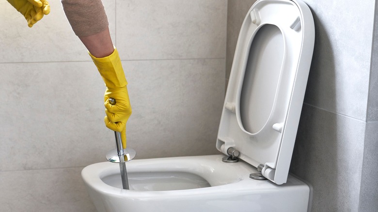 Person cleaning toilet bowl