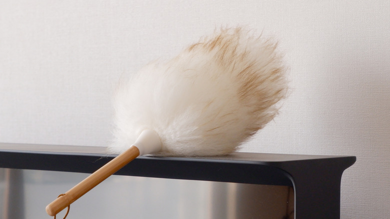 Wool duster on tabletop