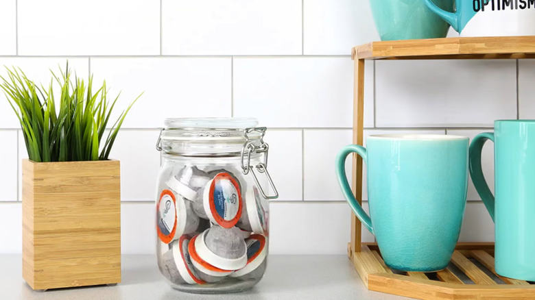 Cameron's eco-pods in an airtight container on a counter with a plant and teal coffee mugs