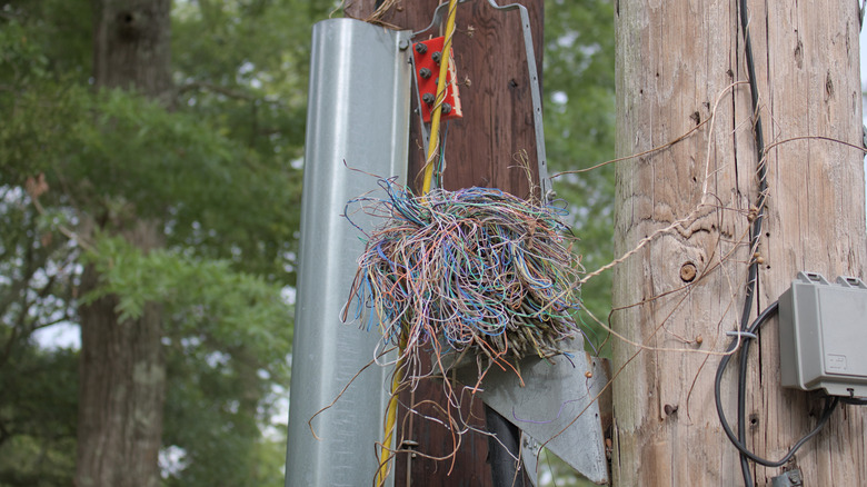 messy landline cables on a pole