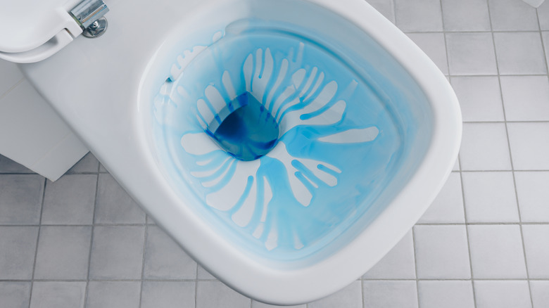 Blue toilet gel on inside of toilet bowl