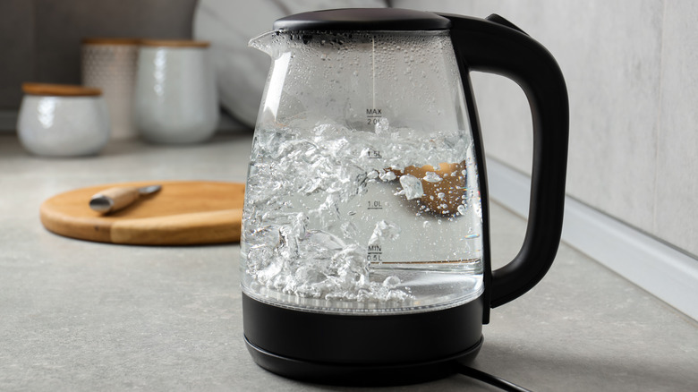 Electric kettle sitting on counter