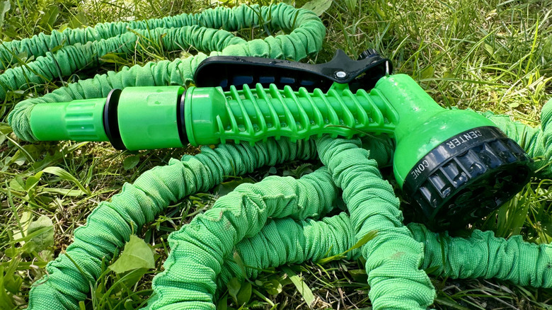 An untidy jumble of expandable hose lying on a lawn
