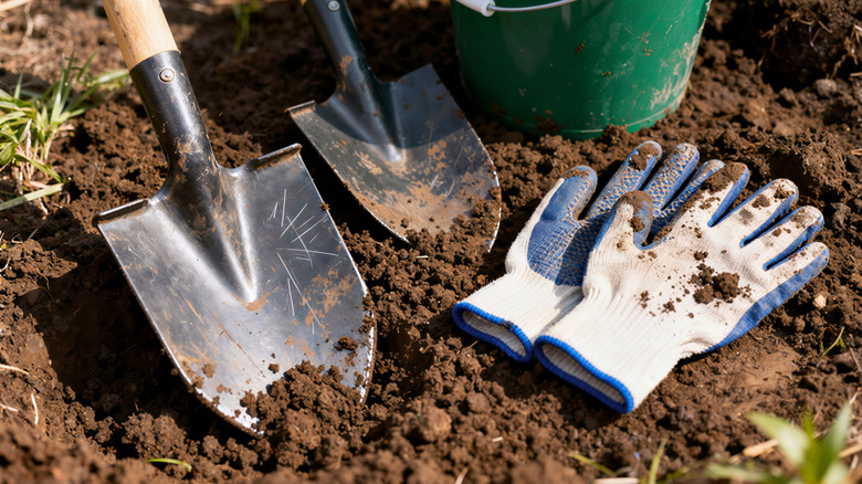 Two steel shovels and a green plastic bucket rest on rich, tilled brown soil next to a pair of dirty work gloves in a garden.