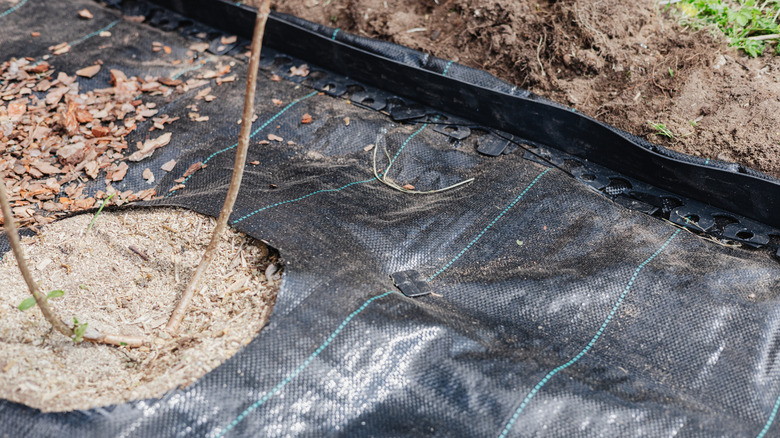 black landscape fabric on soil