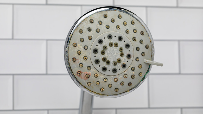 dirty shower head