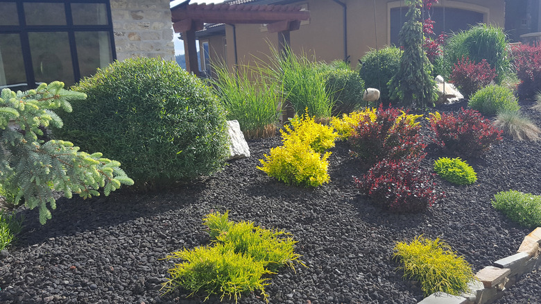 Xeriscaping with rocks, mulch, and native plants and shrubs.