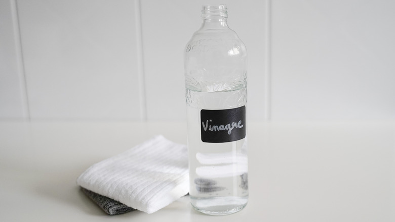 A bottle of vinegar and rags on a white counter.