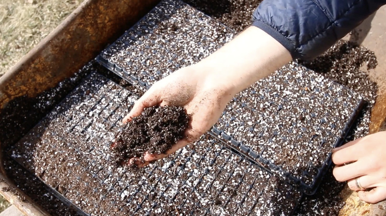 Someone showing moistened potting soil in a wheelbarrow