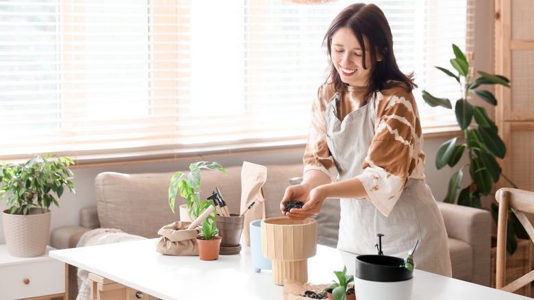 A woman potting several houseplants at a table