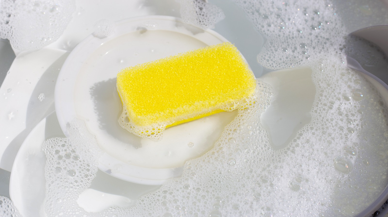 Why You Don't Always Need To Soak Your Dishes Before Using The Dishwasher