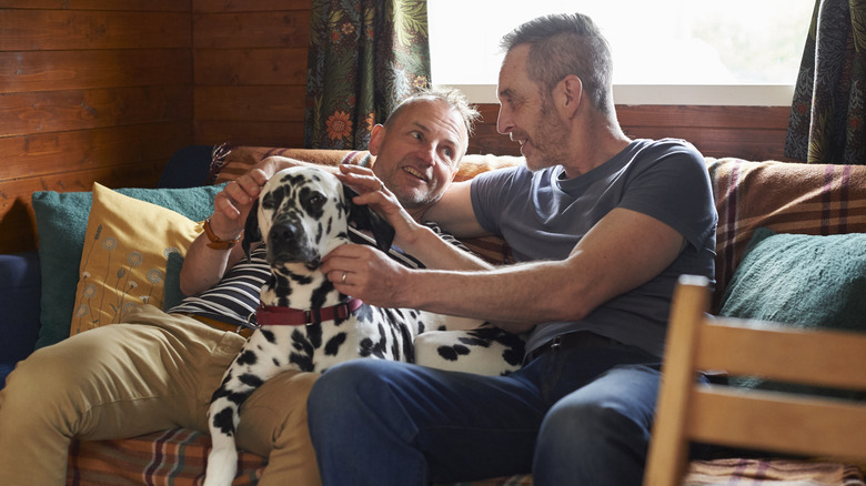 A couple relax with their Dalmatian on a comfy sofa filled with cushions and blankets.