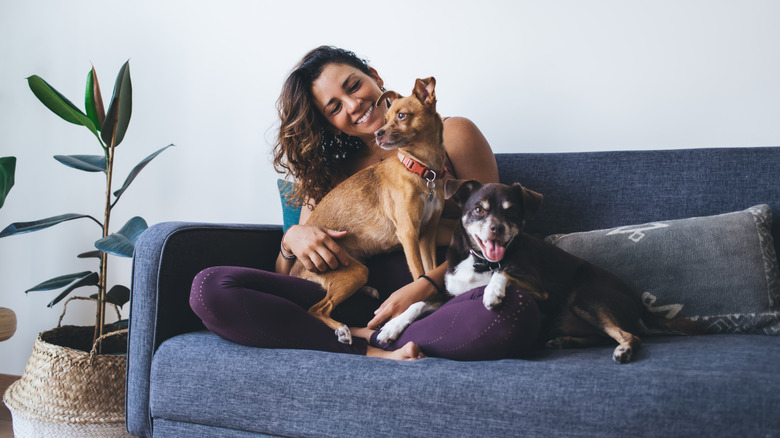 Woman with two dogs on a blue-grey sofa