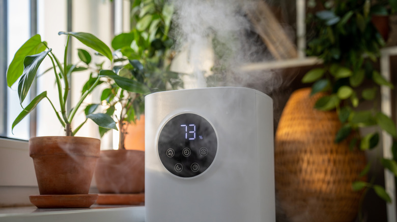 Electronic humidifier with houseplants