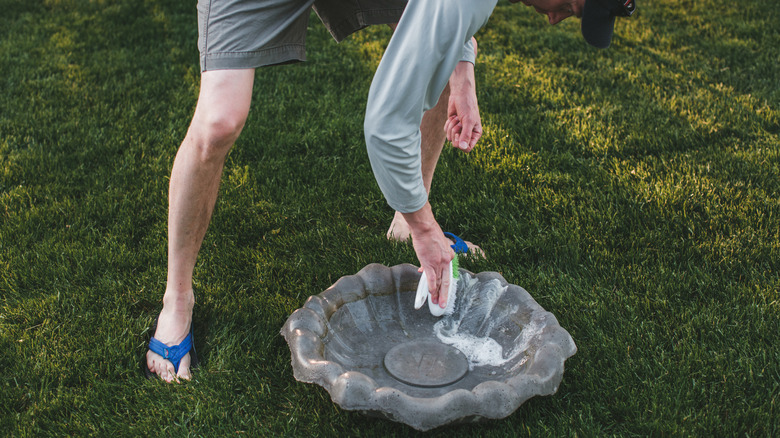 Person scrubbing a bird bath clean
